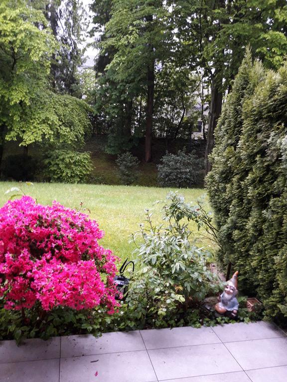 Apartment Near Villa Turgenev Baden-Baden Eksteriør billede
