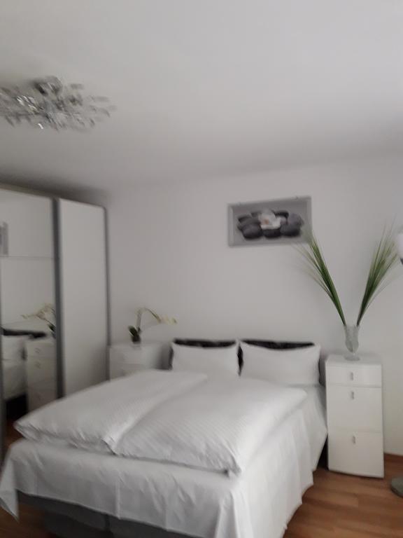 Apartment Near Villa Turgenev Baden-Baden Eksteriør billede