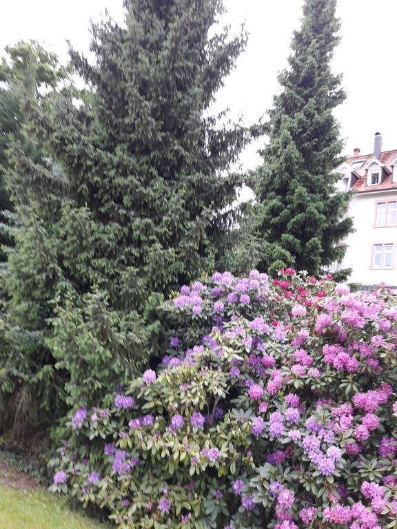 Apartment Near Villa Turgenev Baden-Baden Eksteriør billede