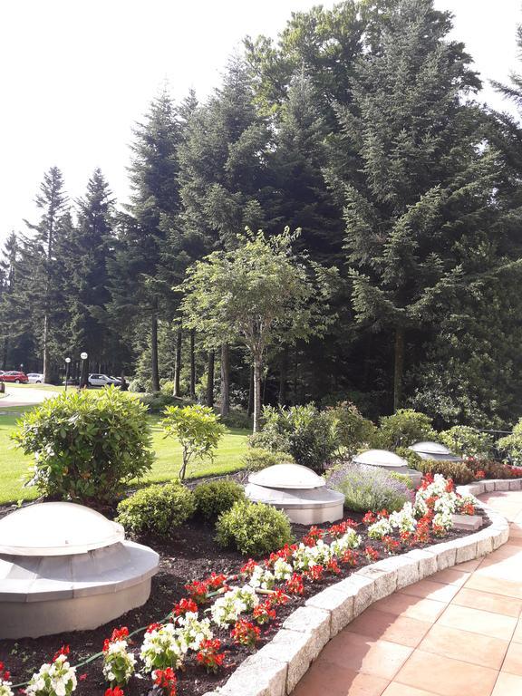 Apartment Near Villa Turgenev Baden-Baden Eksteriør billede